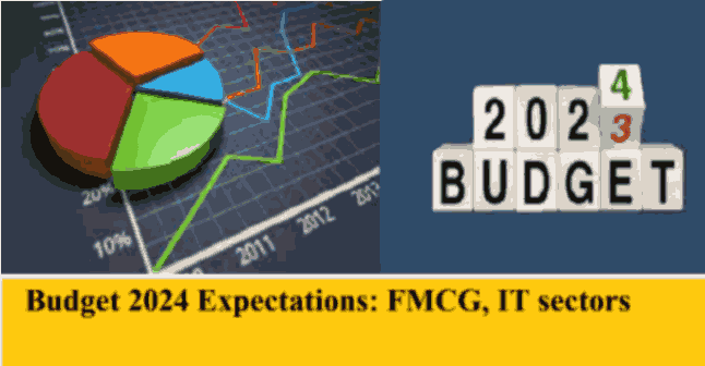 Budget 2024 FMCG, auto & IT sectors expectations: