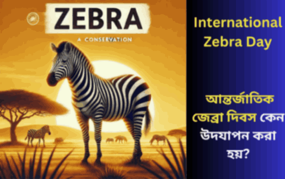 International Zebra Day