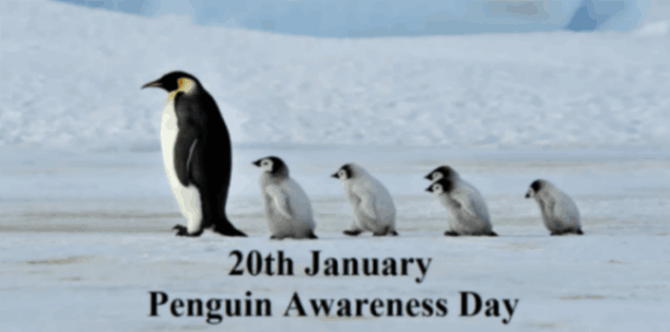 20 January- Penguin Awareness Day