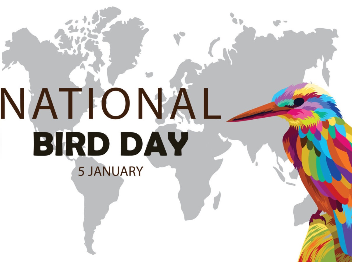 National Birds Day on January 5ই জানুয়ারী - জাতীয় পাখি দিবস