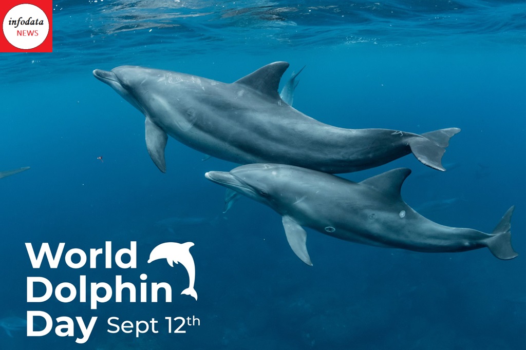 World Dolphin Day