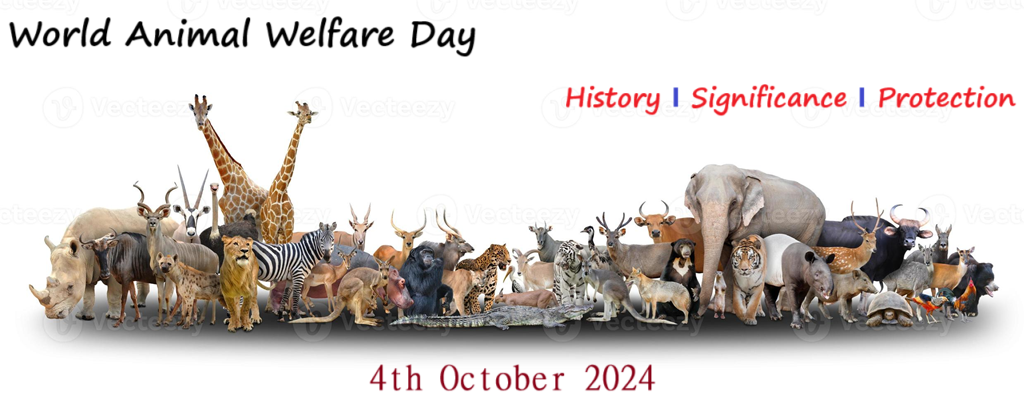 World Animal Welfare Day - History, Significance, Celebration