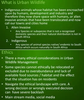 Urban Wildlife Conservation Day - What is Urban Wildlife Conservation, Ethics of Urban Wildlife Conservation