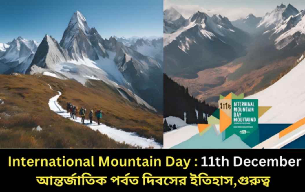 International Mountain Day