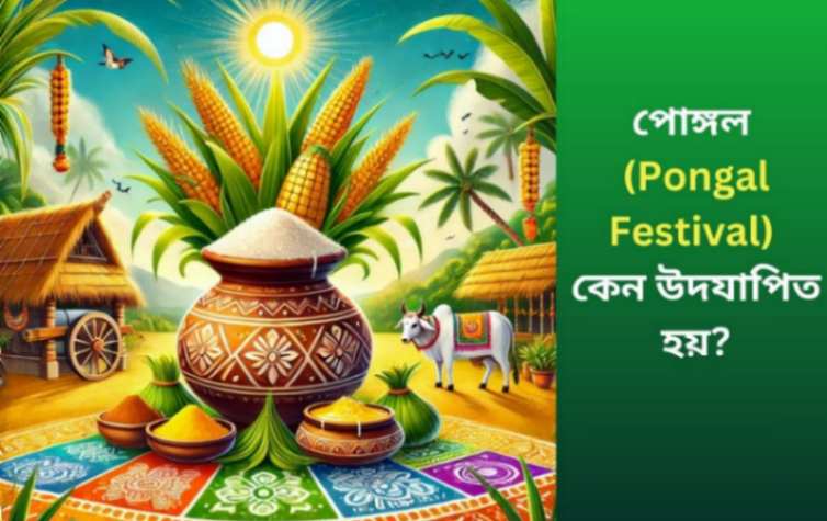 Pongal Festival 2025